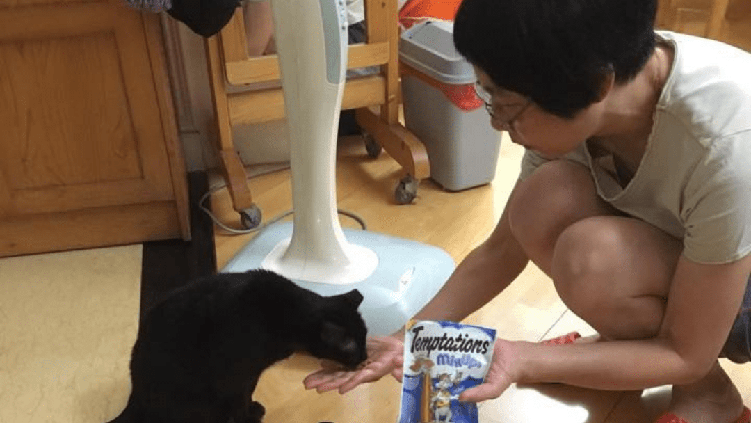 #50 屏兒 | Kenry 媽咪 +&nbsp;護士