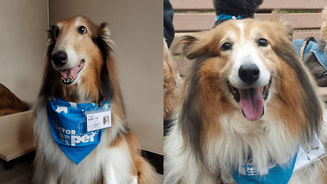 #91 Dr. Jack, Dr. Chloe + Esther Lee | 狗醫生 +&nbsp;主人