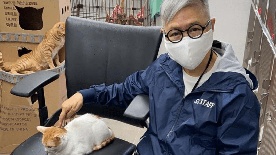 #96 El Chan | 保護遺棄動物協會 (SAA)&nbsp;創辦人